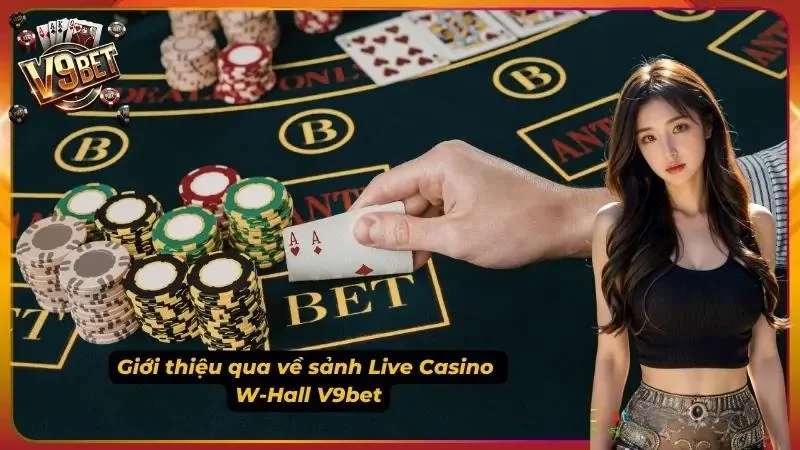 Live Casino W-Hall V9BET | Baccarat, Roulette, Rồng Hổ 1 Hình minh họa sảnh Live Casino W-Hall V9BET